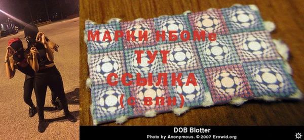 mdma Няндома