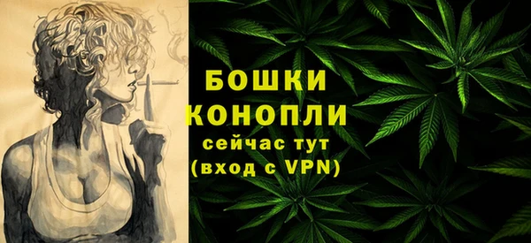 спайс Нягань