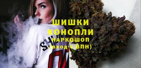 спайс Нягань