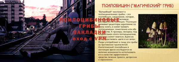 тгк Нязепетровск